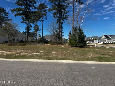 Photo of 2572 E Timber Crest Drive NE, Leland, NC 28451 (MLS # 100561050)
