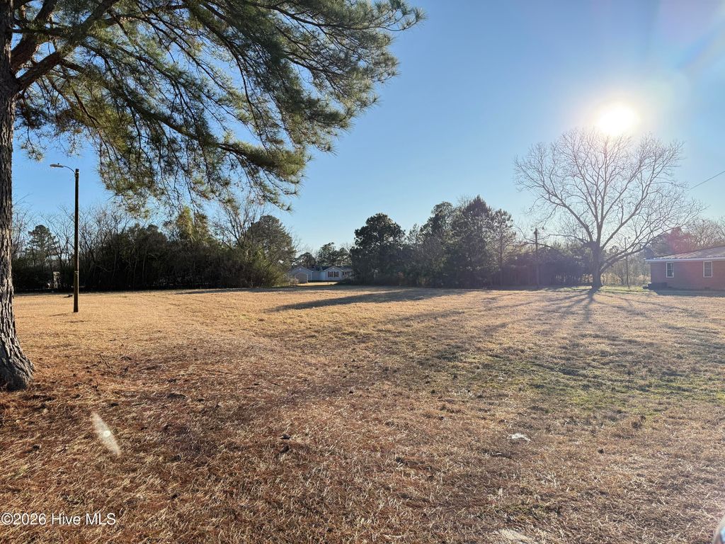 Photo of 528 E Hillsboro Street, Mount Olive, NC 28365 (MLS # 100549870)