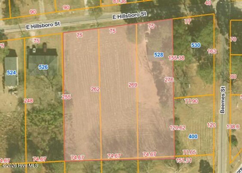 Photo of 528 E Hillsboro Street, Mount Olive, NC 28365 (MLS # 100549870)