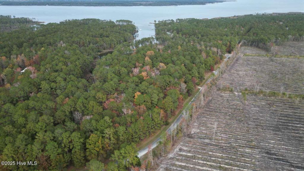 Photo of 729 Bell Point Lane, Merritt, NC 28556 (MLS # 100545099)