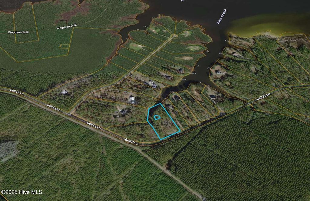 Photo of 729 Bell Point Lane, Merritt, NC 28556 (MLS # 100545099)