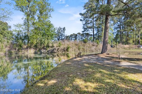 Tiny photo for 3740 Tuckahoe Road, Ivanhoe, NC 28447 (MLS # 100567224)