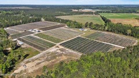 Tiny photo for 3740 Tuckahoe Road, Ivanhoe, NC 28447 (MLS # 100567224)