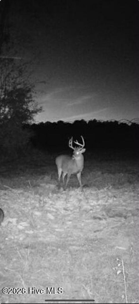 Tiny photo for 3740 Tuckahoe Road, Ivanhoe, NC 28447 (MLS # 100567224)