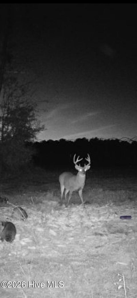 Tiny photo for 3740 Tuckahoe Road, Ivanhoe, NC 28447 (MLS # 100567224)