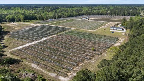 Tiny photo for 3740 Tuckahoe Road, Ivanhoe, NC 28447 (MLS # 100567224)