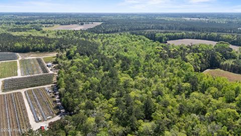 Tiny photo for 3740 Tuckahoe Road, Ivanhoe, NC 28447 (MLS # 100567224)