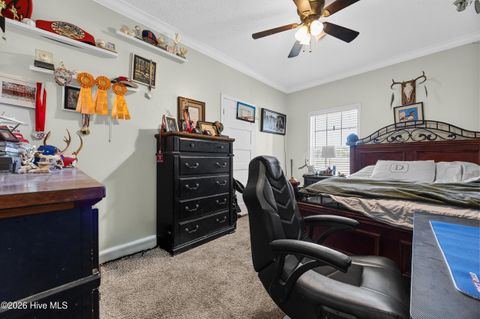 Tiny photo for 3740 Tuckahoe Road, Ivanhoe, NC 28447 (MLS # 100567224)