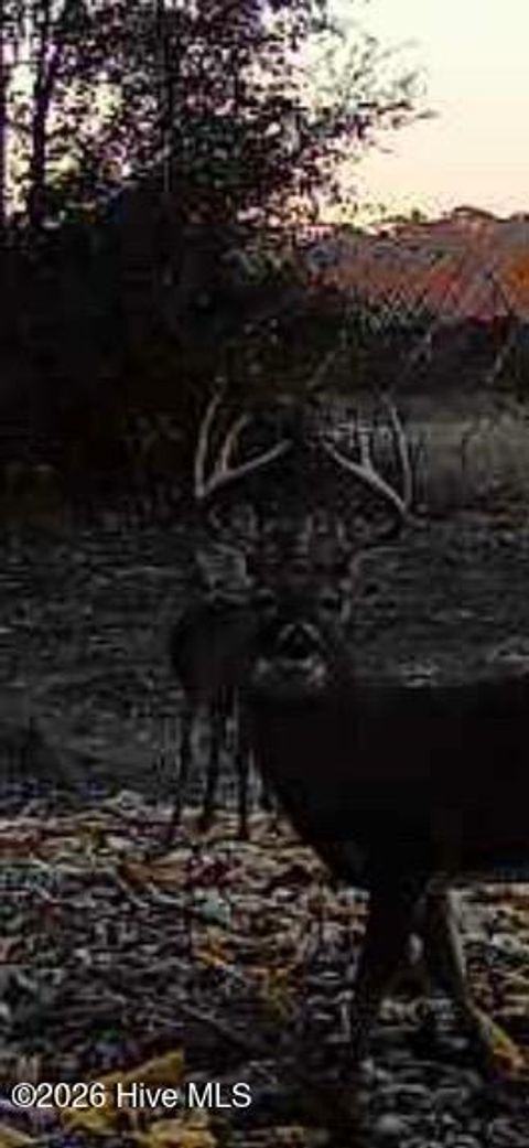 Tiny photo for 3740 Tuckahoe Road, Ivanhoe, NC 28447 (MLS # 100567224)