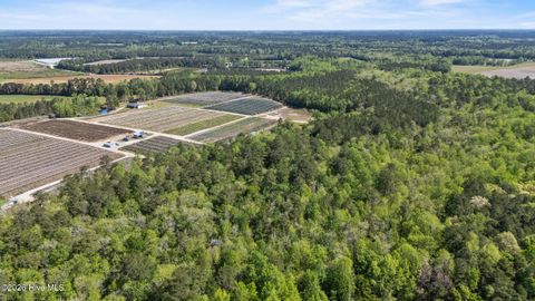 Tiny photo for 3740 Tuckahoe Road, Ivanhoe, NC 28447 (MLS # 100567224)