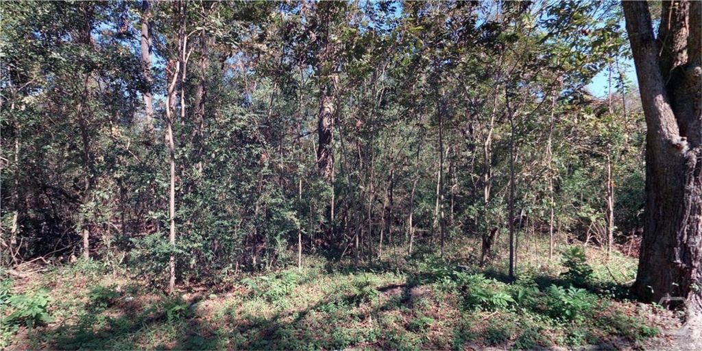 Photo of 156 Darling Street, Savannah, GA 31408 (MLS # SA348446)