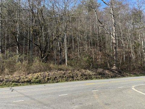 Vacant Land For Sale - 00 Highway 141<br/> Marble, NC 28905
