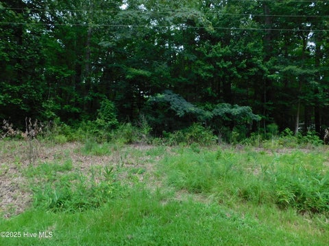 Vacant Land For Sale - 93 Tranquility Lane<br/> Hertford, NC 27944