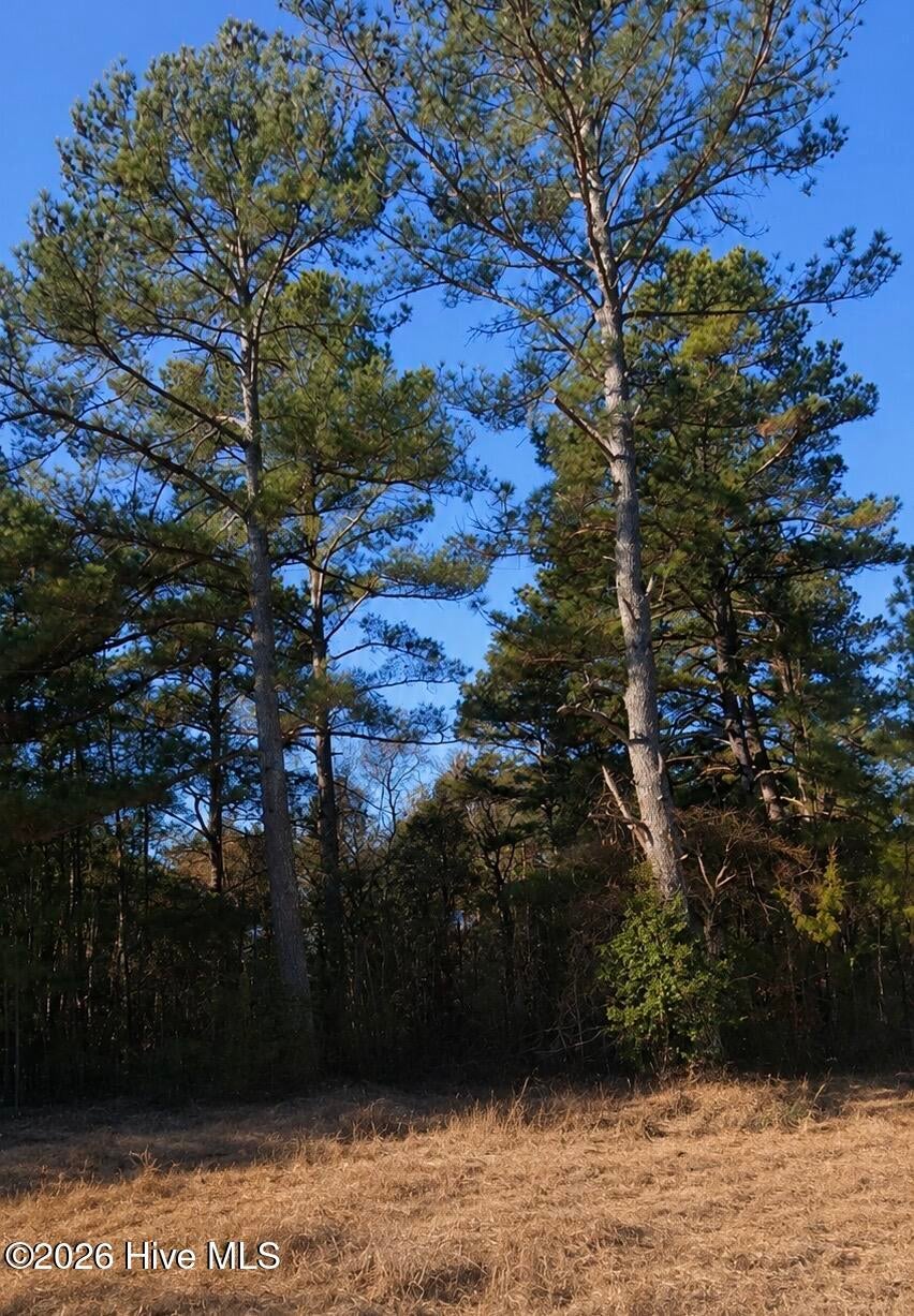 000 Roanoke Chapel Road, Littleton, NC, 27850