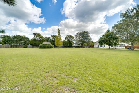 Tiny photo for 127 Cotton Patch Court, Burgaw, NC 28425 (MLS # 100601711)