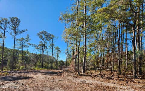 Vacant Land For Sale - LOT 133 Coral Gull Street<br/> Southport, NC 28461