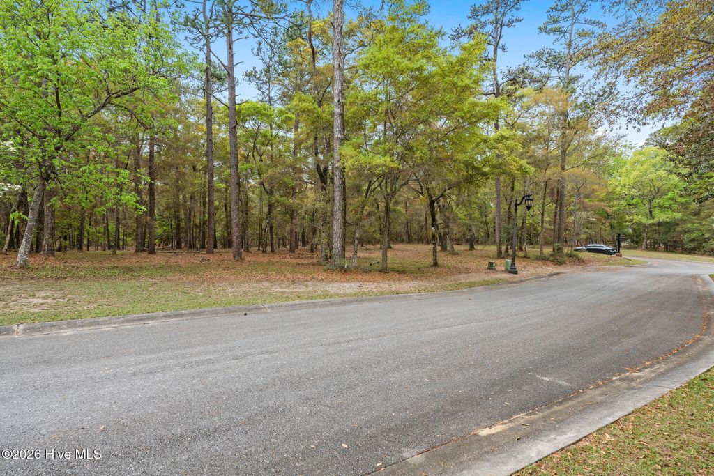 Photo of 525 SW Nantes Court SW, Supply, NC 28462 (MLS # 100569893)