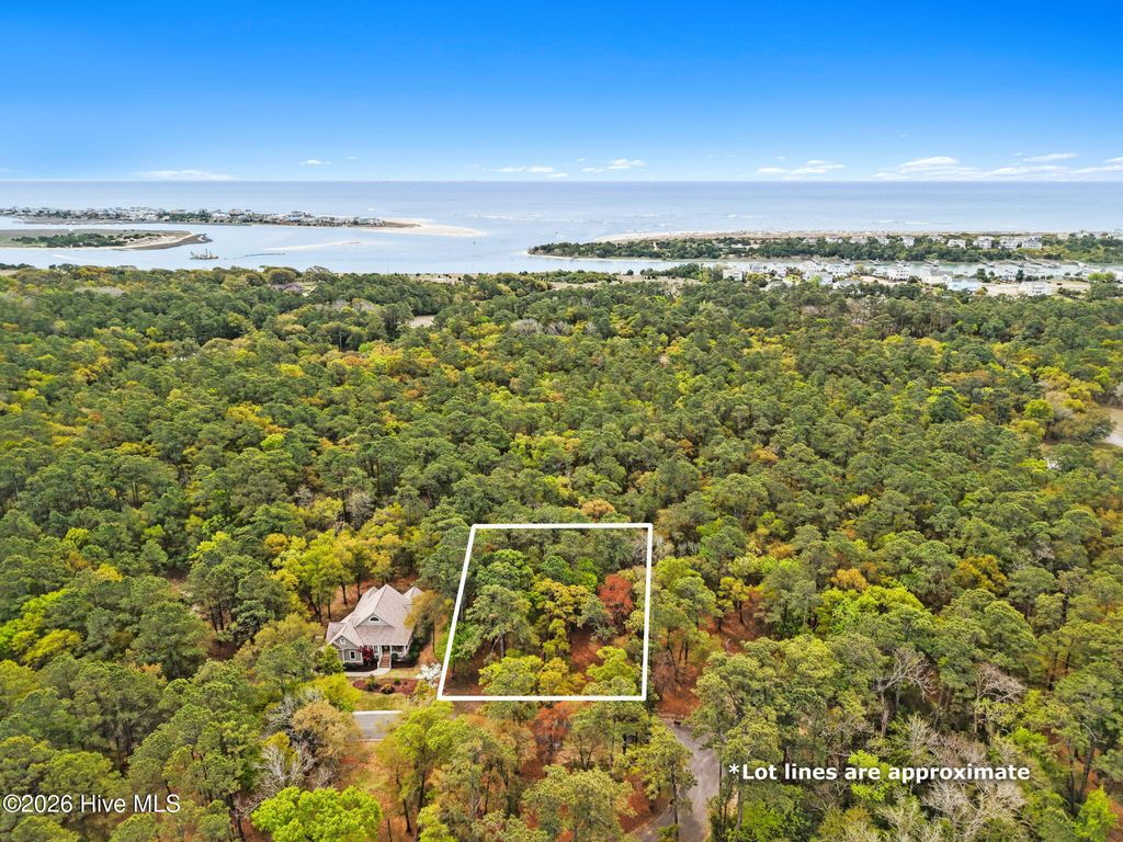 Photo of 525 SW Nantes Court SW, Supply, NC 28462 (MLS # 100569893)