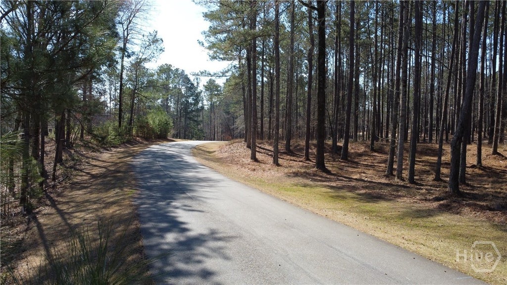 Photo of 1041 Shadow Creek Way, Greensboro, GA 30642 (MLS # CL358390)