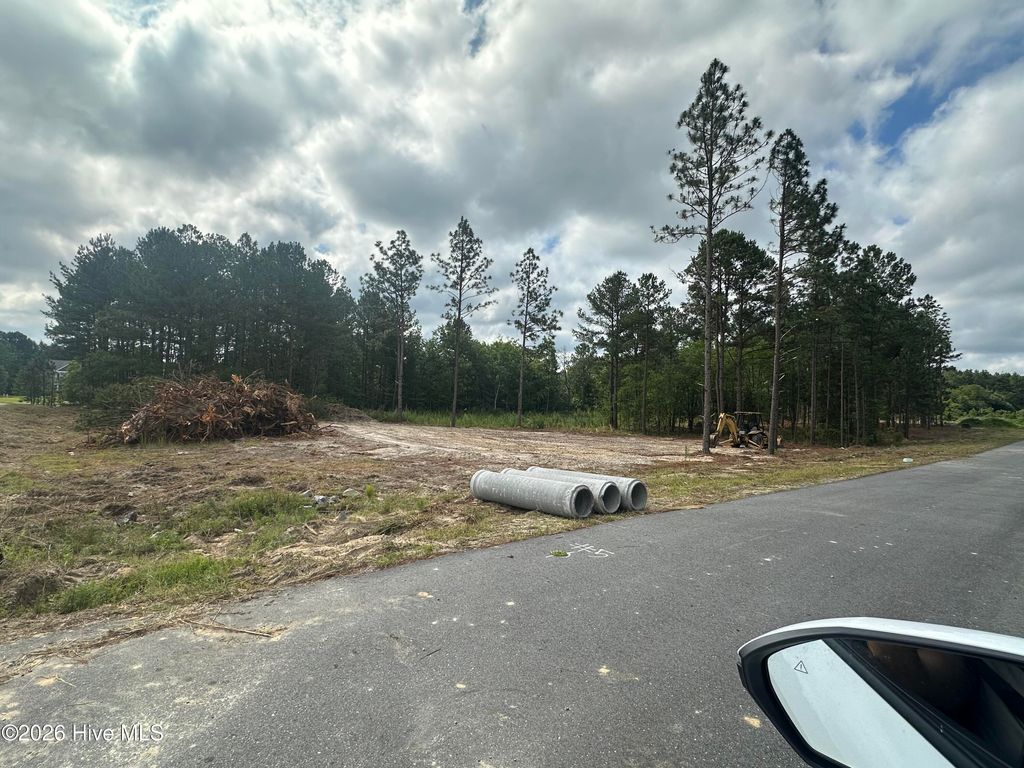 Photo of 210 Spring Meadows Drive, Aberdeen, NC 28315 (MLS # 100585180)