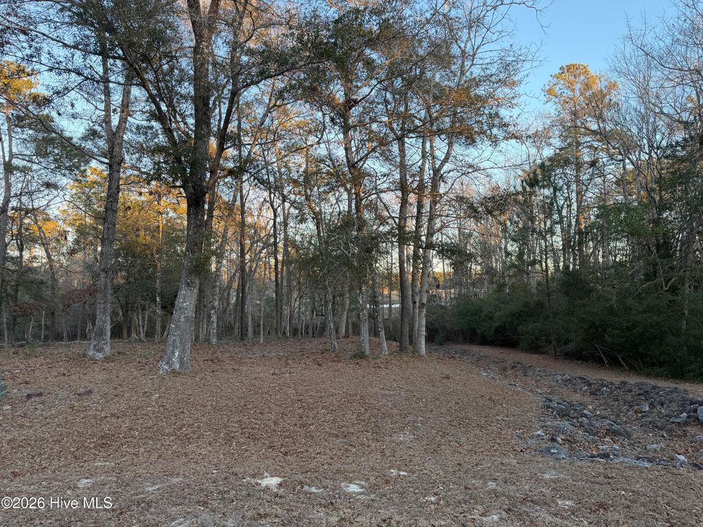 Photo of 1764 Oyster Harbour Parkway SW, Supply, NC 28462 (MLS # 100549939)