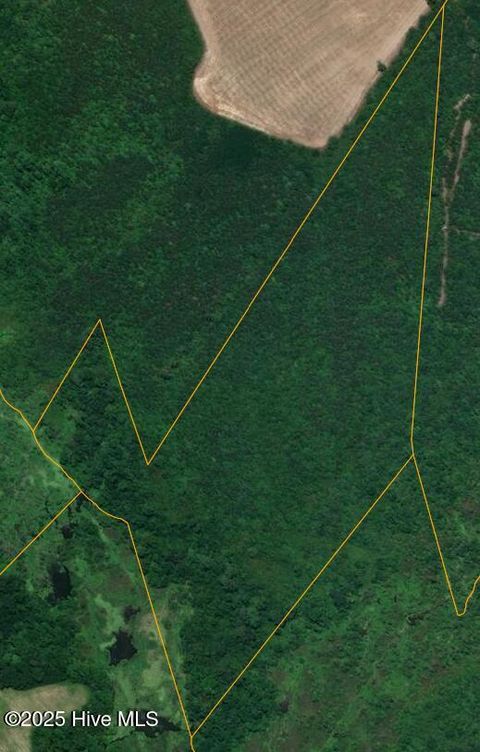 Vacant Land For Sale - E Darden Road<br/> Faison, NC 28341