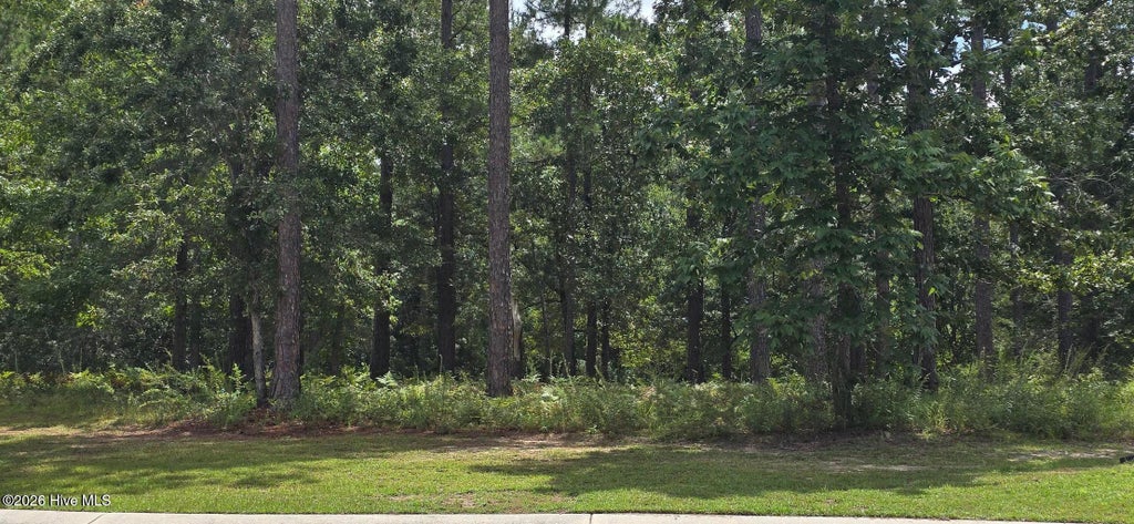 Photo of 771 Cedarhurst Drive SE, Bolivia, NC 28422 (MLS # 100599590)