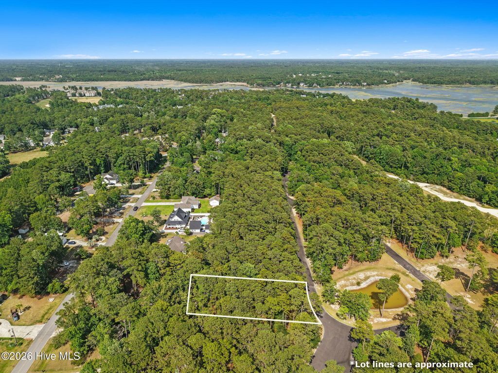 Photo of 3740 Pine Brook Trail, Shallotte, NC 28470 (MLS # 100581669)