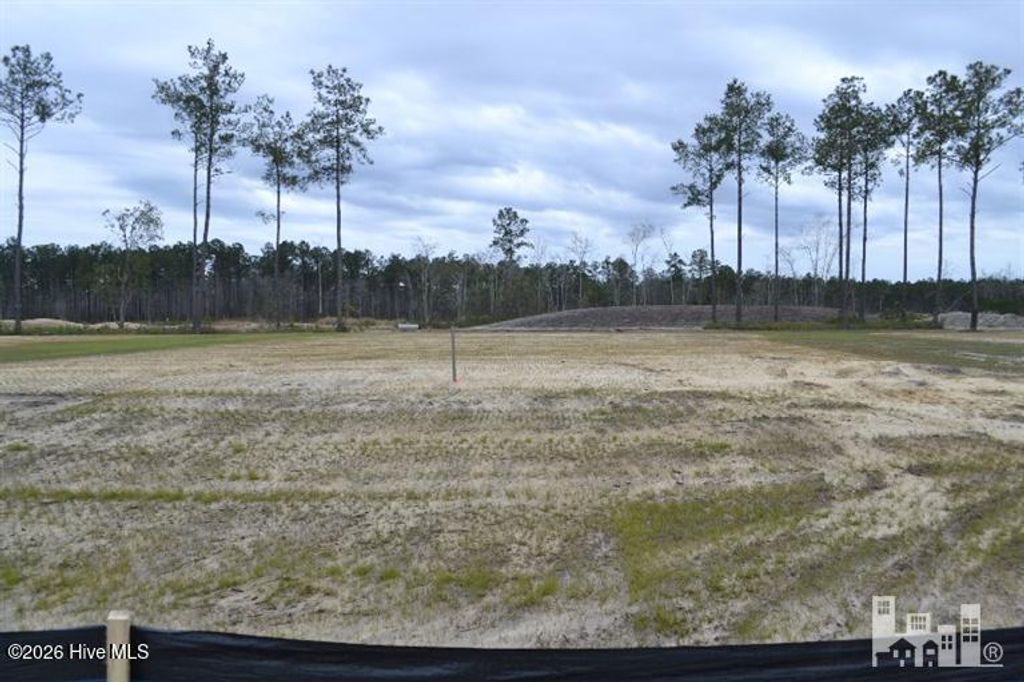Photo of 4133 Sea Salt Street, Leland, NC 28451 (MLS # 100588010)