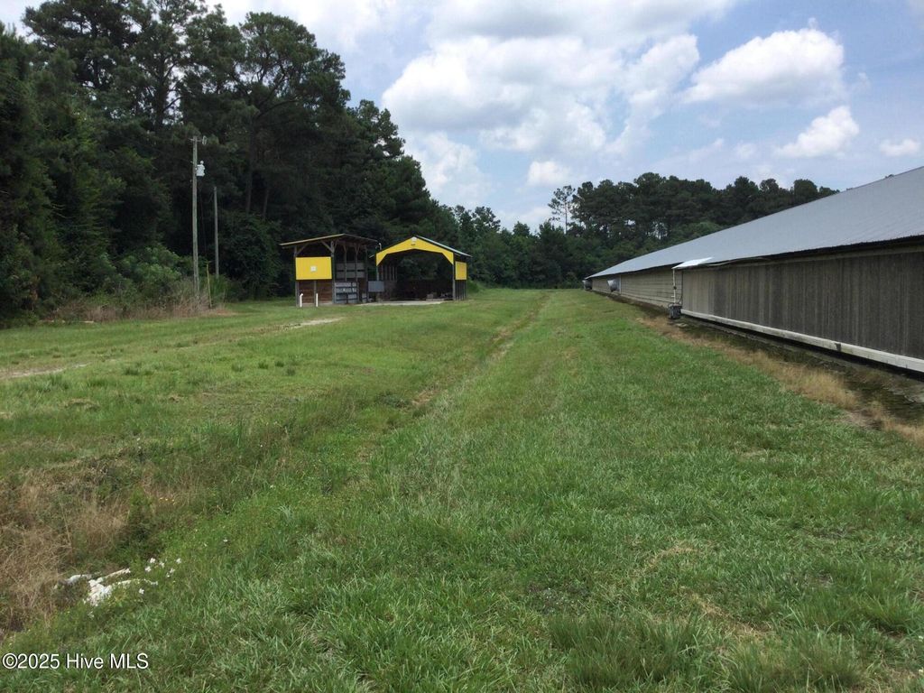 Photo of 1779 Burney Road, Bladenboro, NC 28320 (MLS # 100545775)