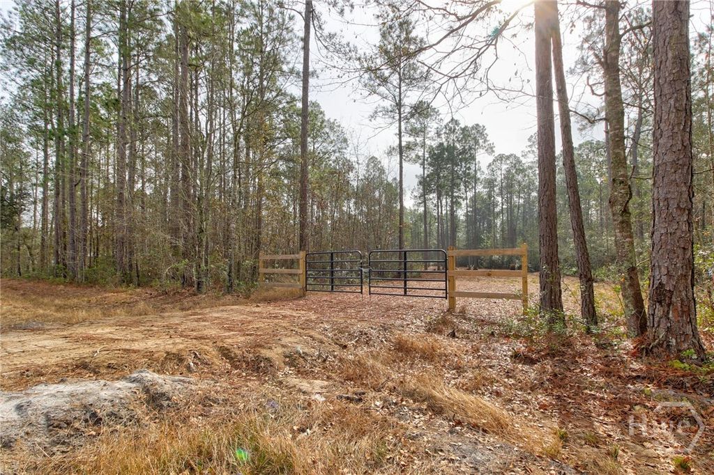 Photo of 1743 Shawnee Egypt Road, Springfield, GA 31329 (MLS # SA346376)