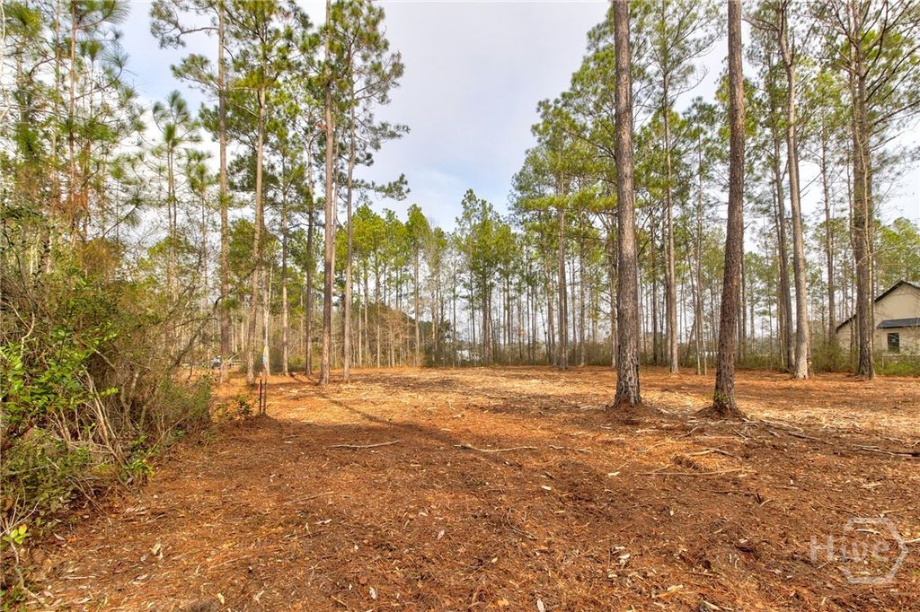 Photo of 1743 Shawnee Egypt Road, Springfield, GA 31329 (MLS # SA346376)