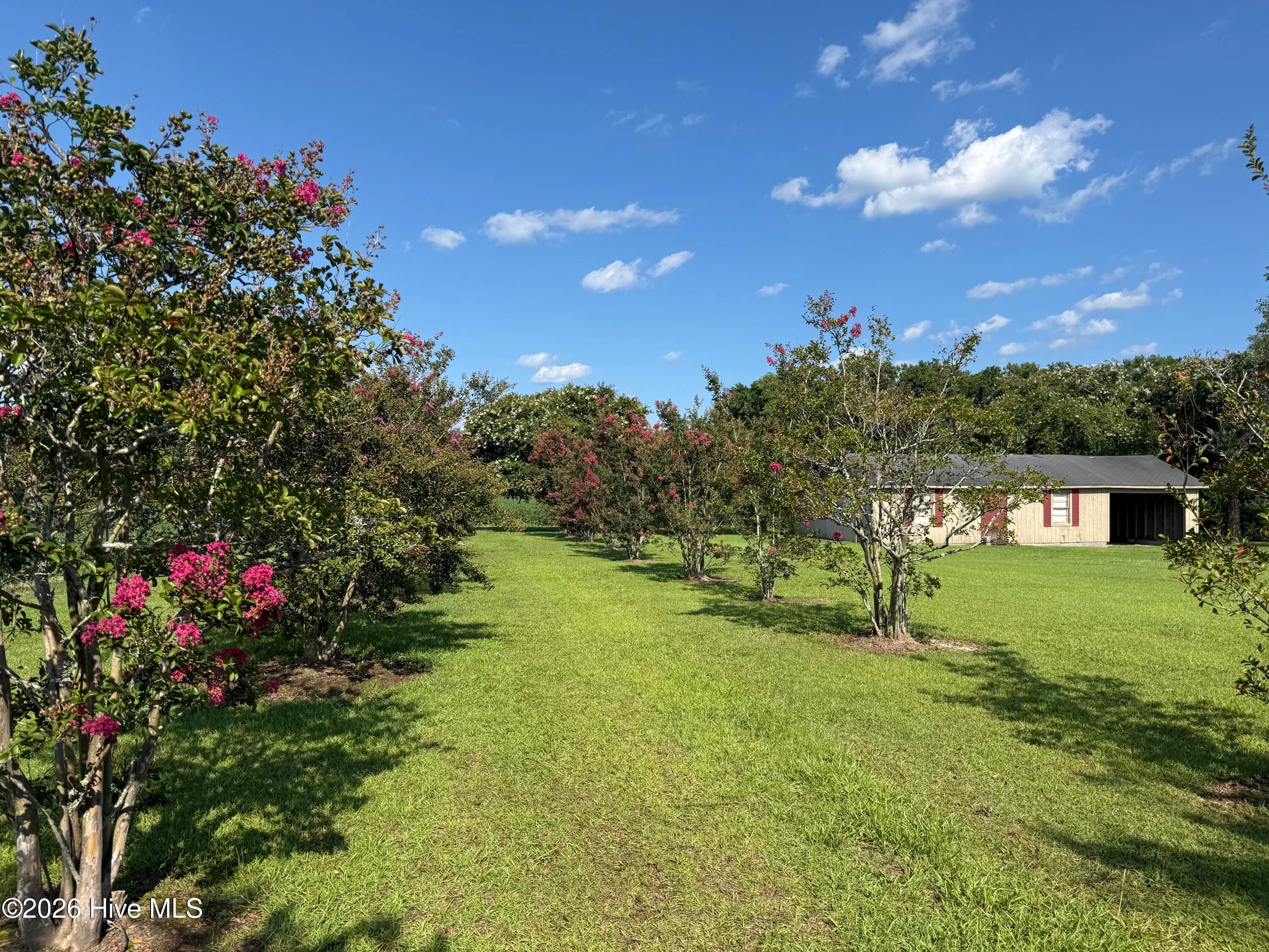 3085 Fire Dept Road, Williamston, NC, 27892