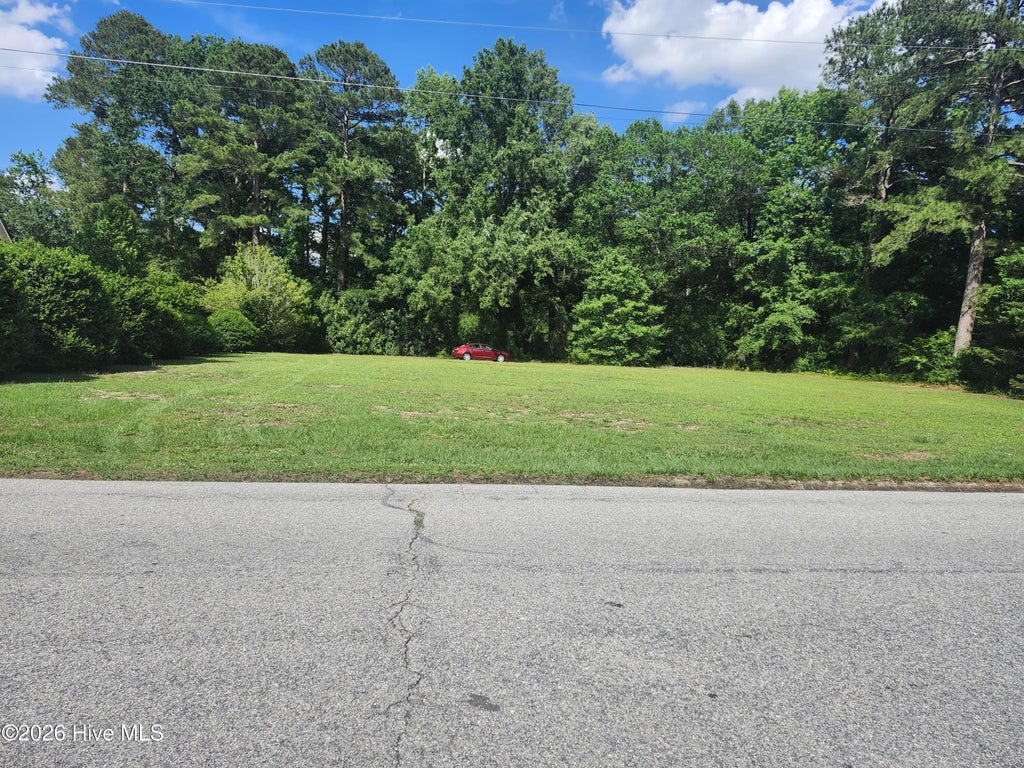 Photo of 102 Forest Drive, Clinton, NC 28328 (MLS # 100580302)