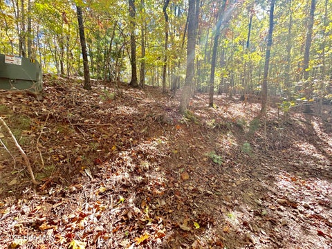 Vacant Land For Sale - LOT 12 Royal Oaks Trail<br/> Brasstown, NC 28902