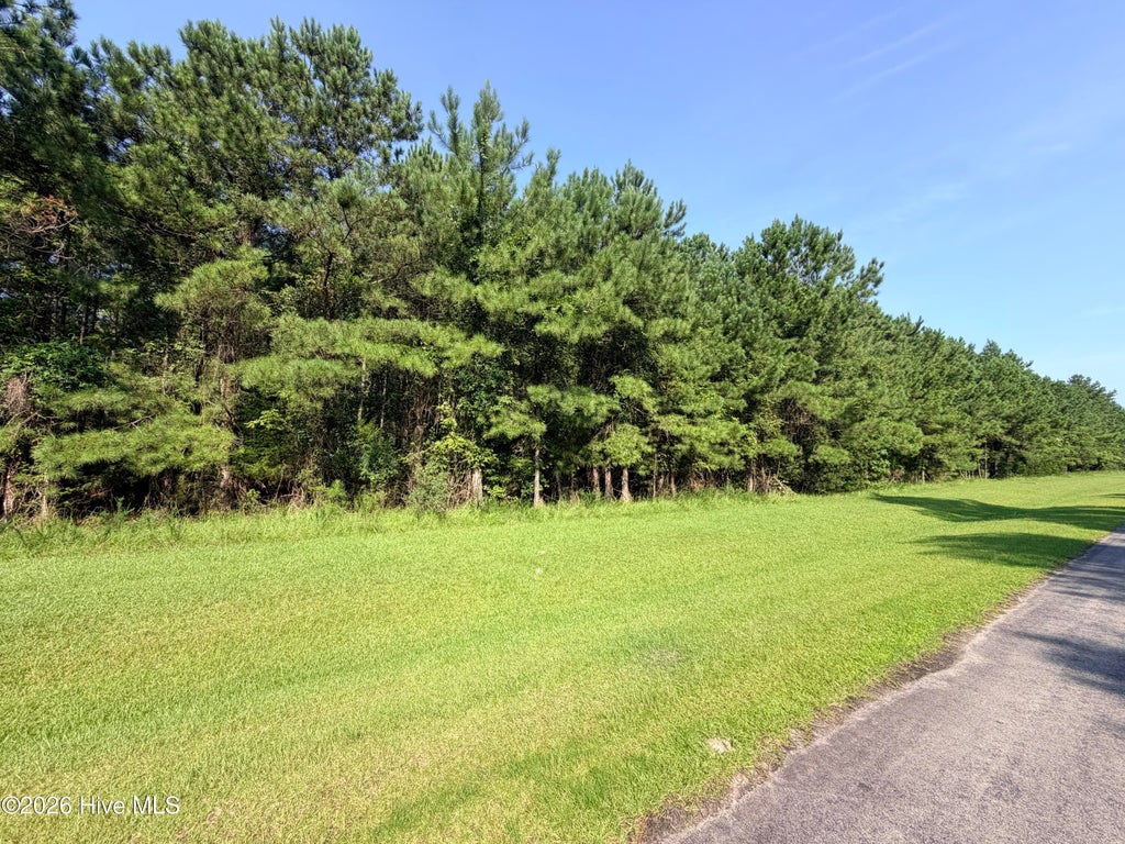 Photo of 201 Garbacon Drive, Beaufort, NC 28516 (MLS # 100595664)