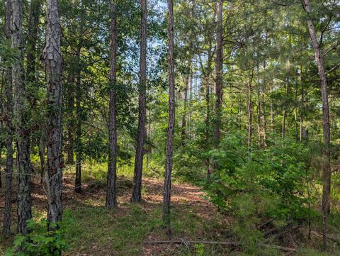 Vacant Land For Sale - 3079 Marshall Road<br/> Columbia County, Appling, GA 30802