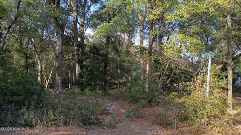Tiny photo for 223 Clinton Street, Wilmington, NC 28401 (MLS # 100551406)