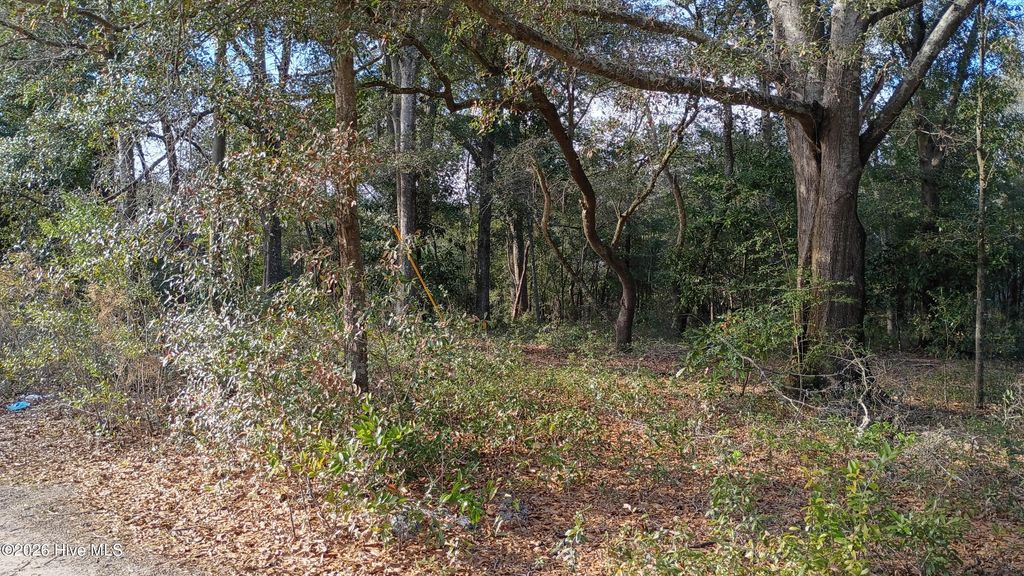 Photo of 223 Clinton Street, Wilmington, NC 28401 (MLS # 100551406)