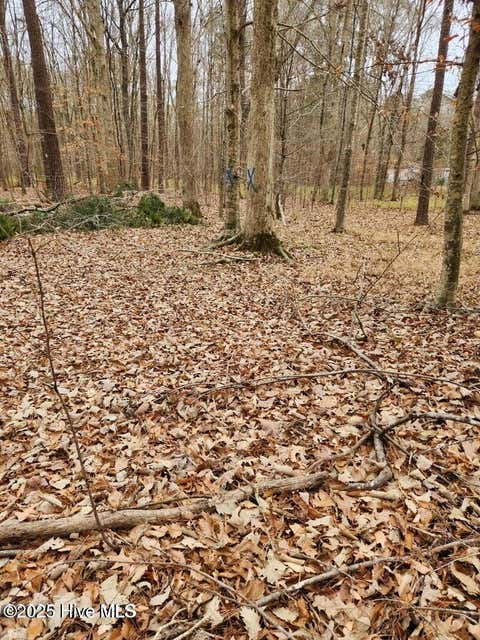 Vacant Land For Sale - 146 Tranquility Lane<br/> Hertford, NC 27944