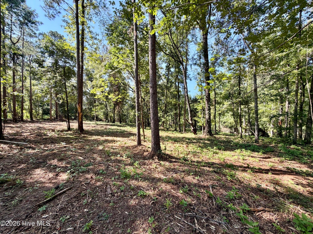 Photo of 111 Vanna Lane, Waynesboro, GA 30830 (MLS # 100604272)