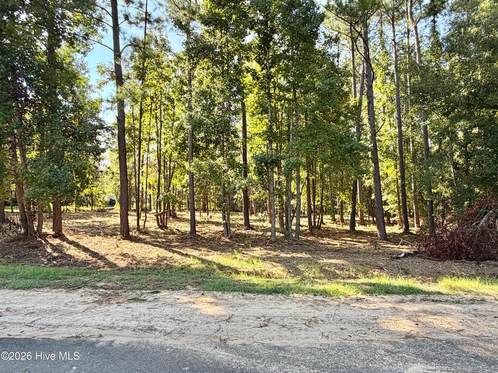 Photo of 111 Vanna Lane, Waynesboro, GA 30830 (MLS # 100604272)