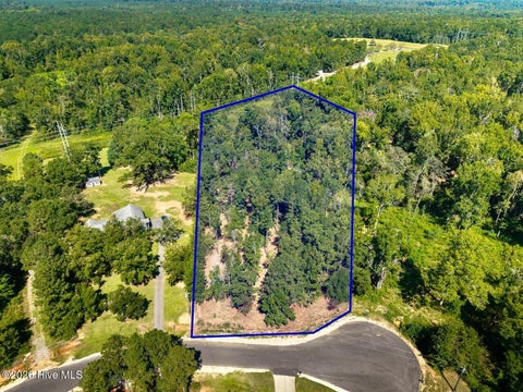 Vacant Land For Sale - 111 Vanna Lane<br/> Waynesboro, GA 30830