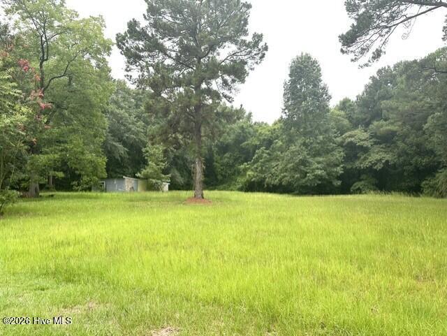 Photo of 312 S Carlton Street, Magnolia, NC 28453 (MLS # 100591647)