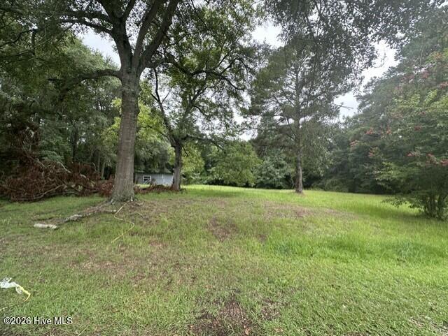 312 S Carlton Street, Magnolia, NC, 28453