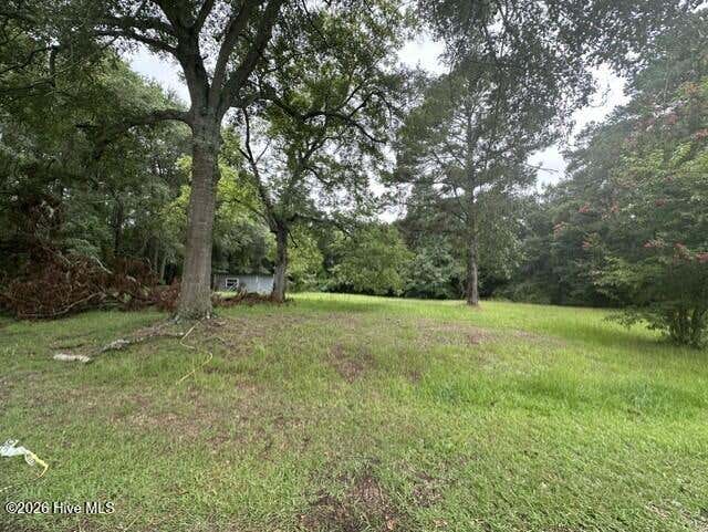 Photo of 312 S Carlton Street, Magnolia, NC 28453 (MLS # 100591647)
