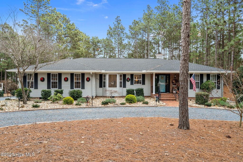Photo of 247 Longleaf Drive, West End, NC 27376 (MLS # 100546732)