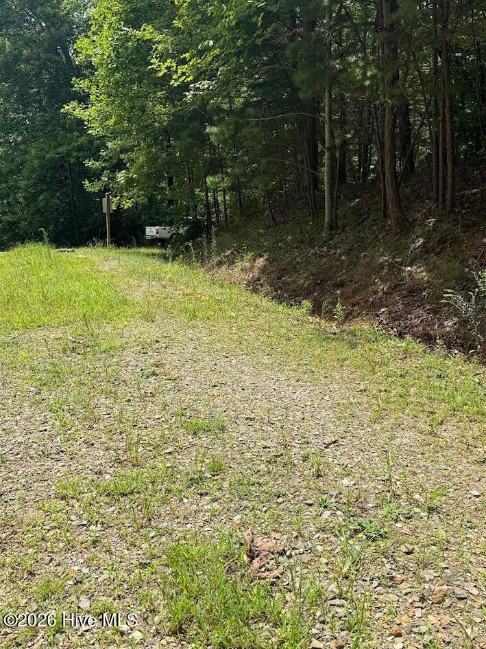 Photo of 46 Pine Cove Lane, Murphy, NC 28906 (MLS # 100596949)