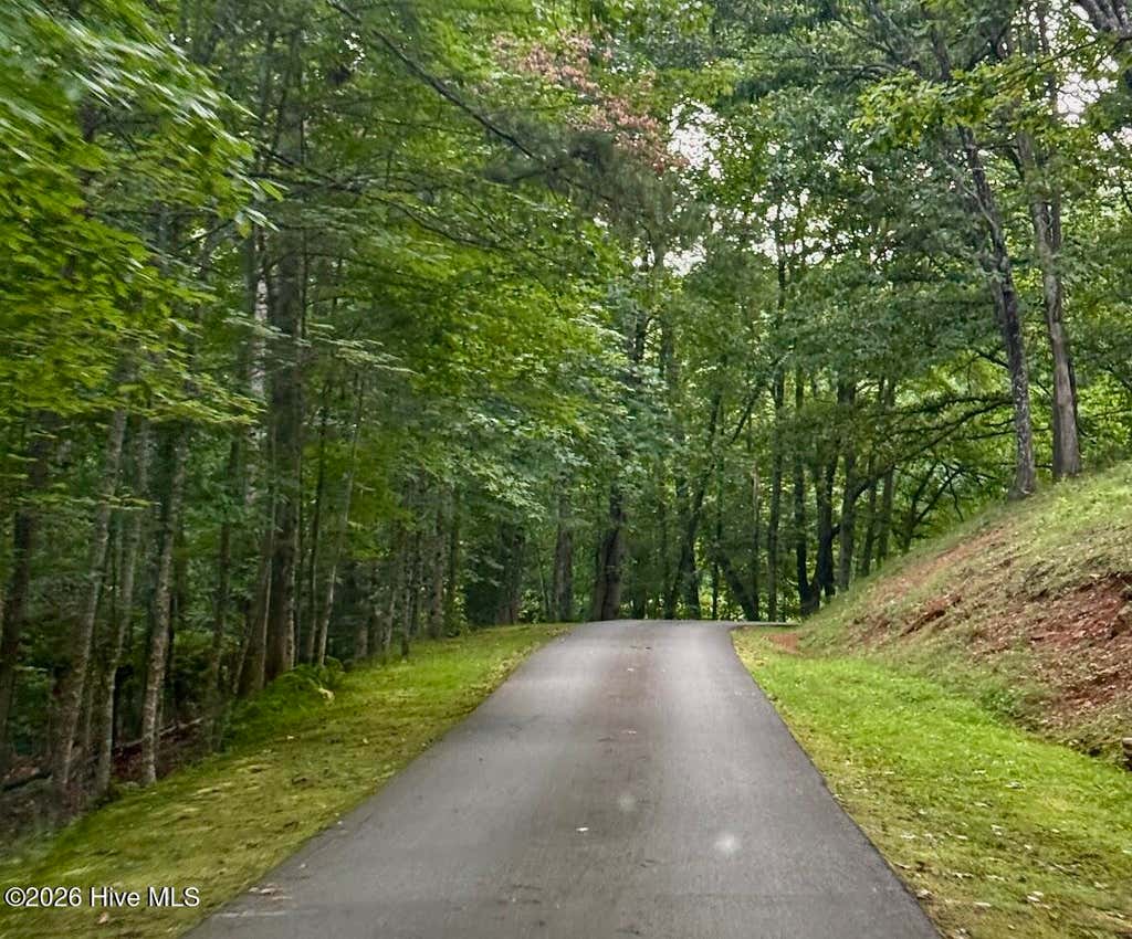 Photo of 46 Pine Cove Lane, Murphy, NC 28906 (MLS # 100596949)