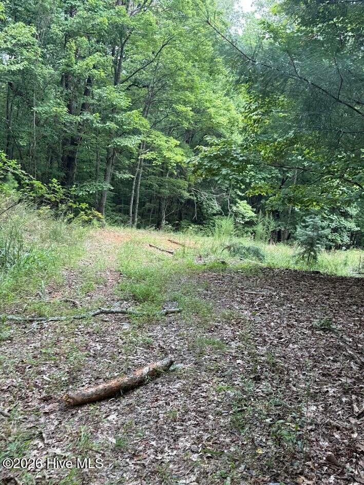 Photo of 46 Pine Cove Lane, Murphy, NC 28906 (MLS # 100596949)